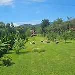 Homestay Noclegi Wegierska Gorka *