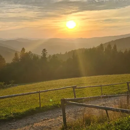 Noclegi Wegierska Gorka Rum i privatbostad *